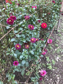 20181015_032516337_iOS