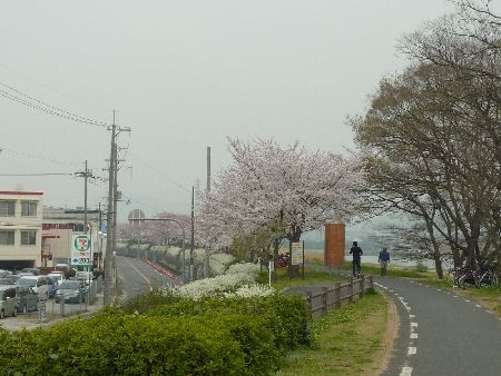 kan_nene002