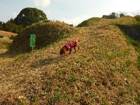 kan_nene007