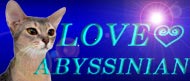 LOVE��ABYSSINIAN