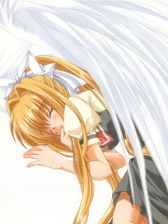 飛べない翼に意味はあるのでしょうか 神奈月のﾌﾗｶﾞﾗｯｸ