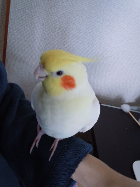 マルといっしょ