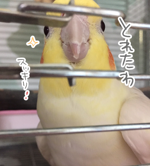 S__44154887