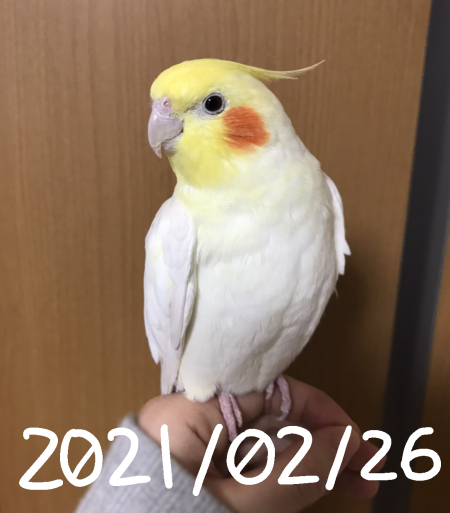 S__70754313