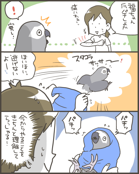 355