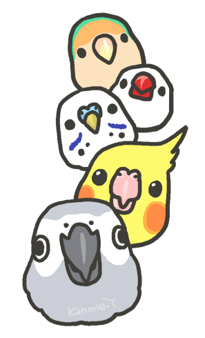 bird3