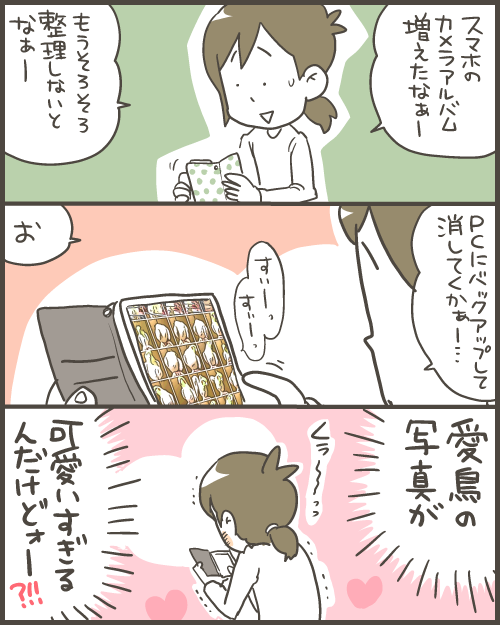 写真整理していたら鳥画像が可愛すぎた件 : マルといっしょ Powered by 