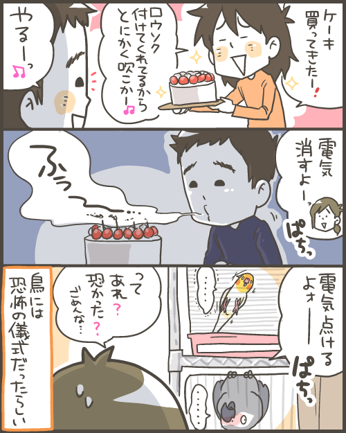 鳥から見ると恐怖の儀式のような人間のイベント マルといっしょ Powered By ライブドアブログ