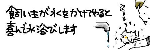 マルといっしょ-1608