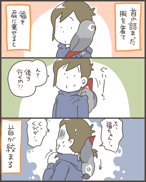 ヨウムを肩に乗せると危険な訳 マルといっしょ Powered By ライブドアブログ ヨウムを肩に乗せると危険な訳 マルといっしょ Powered By ライブドアブログ