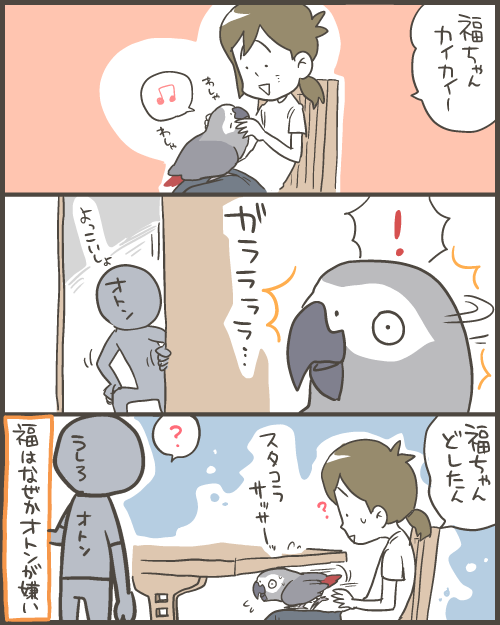 机の下に避難するヨウムの福ちゃん マルといっしょ Powered By ライブドアブログ 机の下に避難するヨウムの福ちゃん マルといっしょ Powered By ライブドアブログ