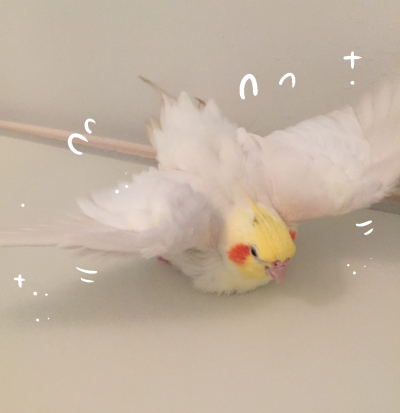 S__42541061