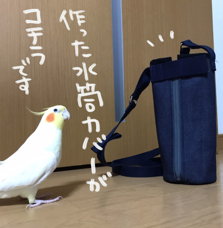 S__87064578
