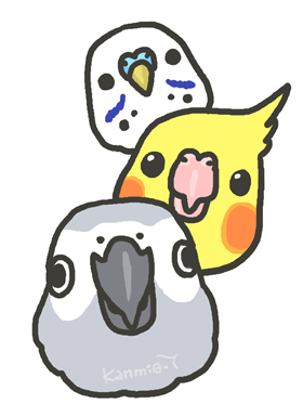 bird