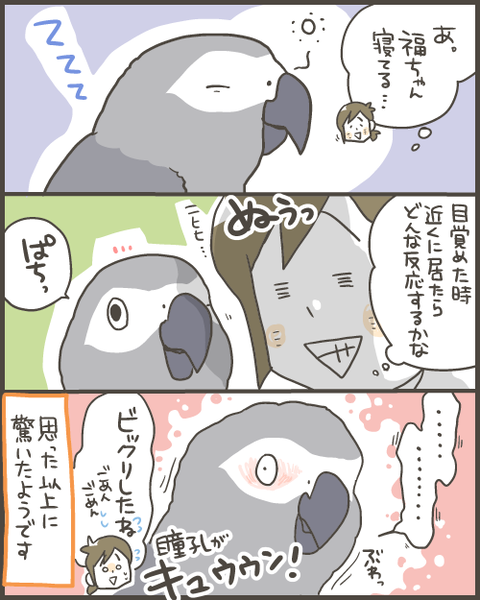 409