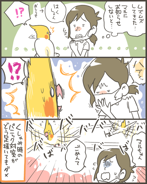 くしゃみ対策してみた結果 マルといっしょ 記事コメント 1 Powered By ライブドアブログ くしゃみ対策してみた結果 マルといっしょ 記事コメント 1 Powered By ライブドアブログ