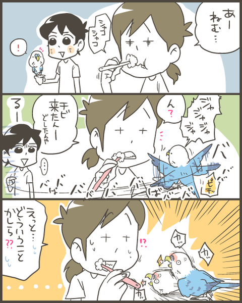 セキセイインコによる突然の襲撃 マルといっしょ Powered By ライブドアブログ