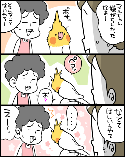 okameinko❣️まるちゃん様 リクエスト 6点 まとめ商品 GTsuvjxbYAAFkBL.jpg