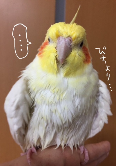 S__59973637