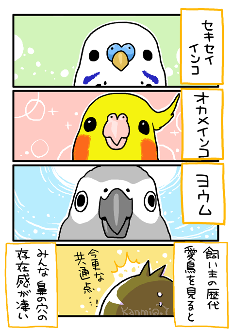 気付いた共通点 マルといっしょ Powered By ライブドアブログ 気付いた共通点 マルといっしょ Powered By ライブドアブログ