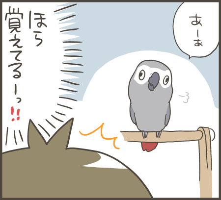 オカンが溜め息をつく理由 マルといっしょ Powered By ライブドアブログ オカンが溜め息をつく理由 マルといっしょ Powered By ライブドアブログ