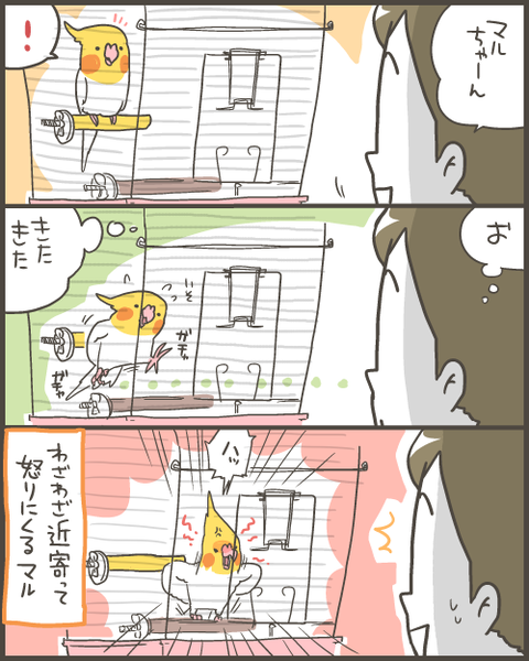 456