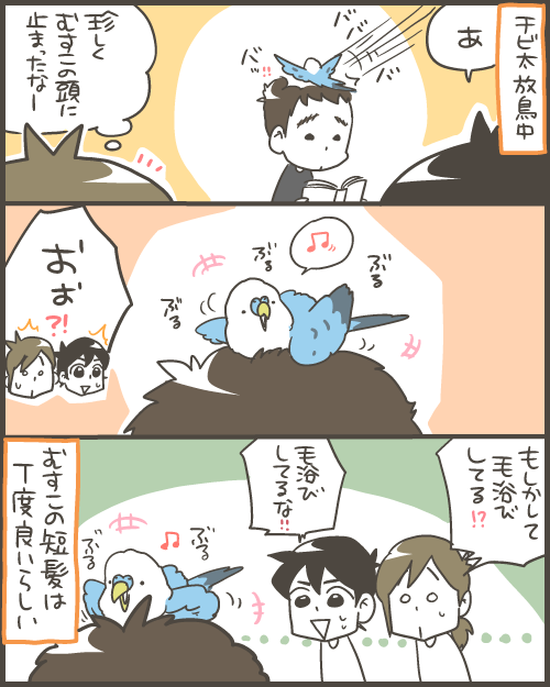 毛浴びするチビ太 マルといっしょ Powered By ライブドアブログ 毛浴びするチビ太 マルといっしょ Powered By ライブドアブログ