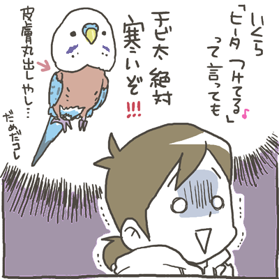 毛引き症と向き合うキッカケ マルといっしょ Powered By ライブドアブログ