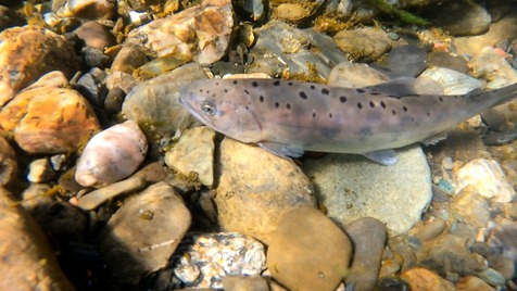 GH010145_000018