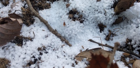 IMG_20211218_115904_065614