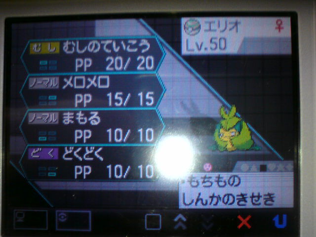 Bw Bw2個別育成論 にじいろタマネギ