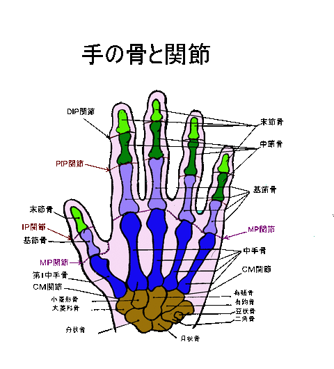 gazou0001