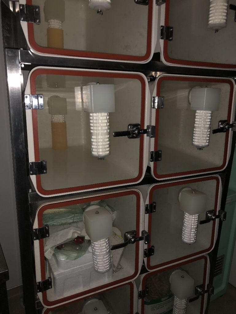 薬品 シゲタ 工業 動物