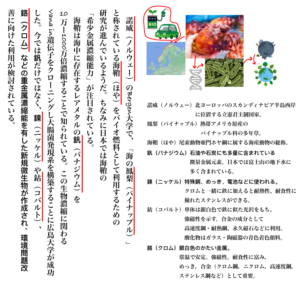 漢字検定1コマ漫画