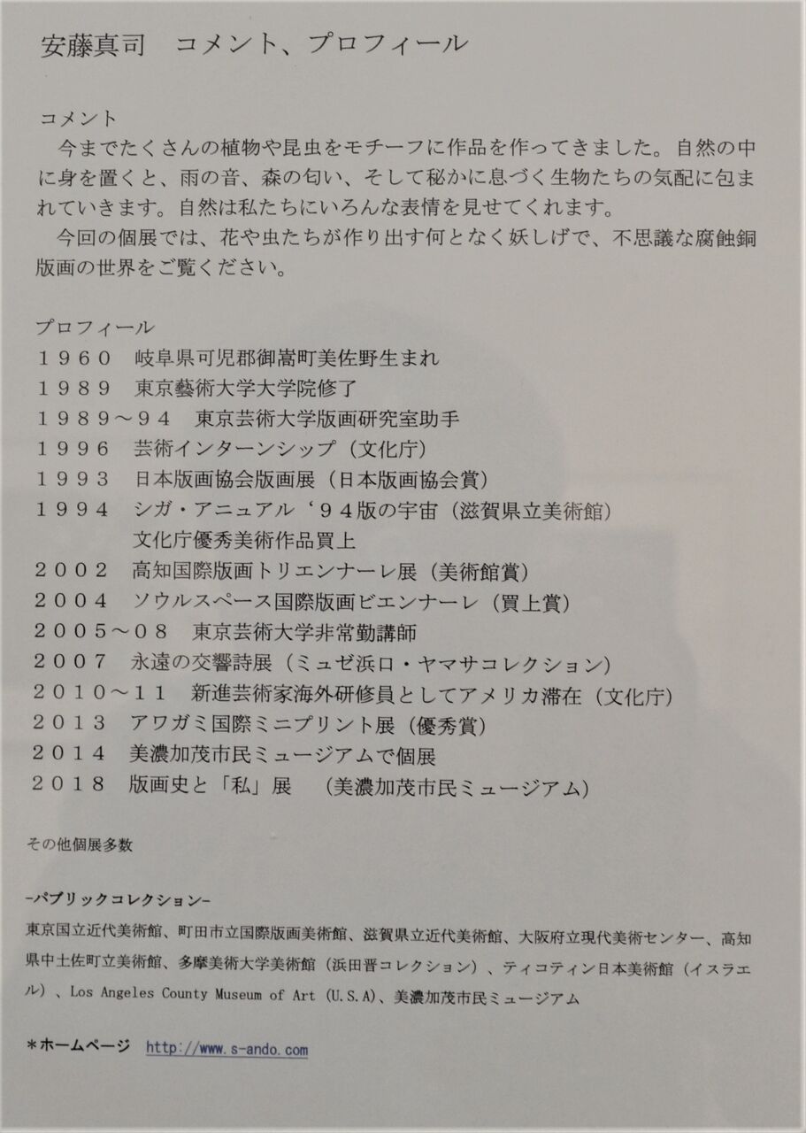 銅版画展を開催中の安藤真司さんを訪ねて : 佐吉大仏 ヒラメ記(代表