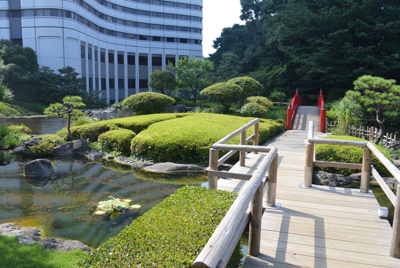 東京夏紀行その3 ホテルニューオータニの日本庭園 佐吉大仏 ヒラメ記 代表 永田章のブログ 東京夏紀行その3 ホテルニューオータニの日本庭園 佐吉大仏 ヒラメ記 代表 永田章のブログ