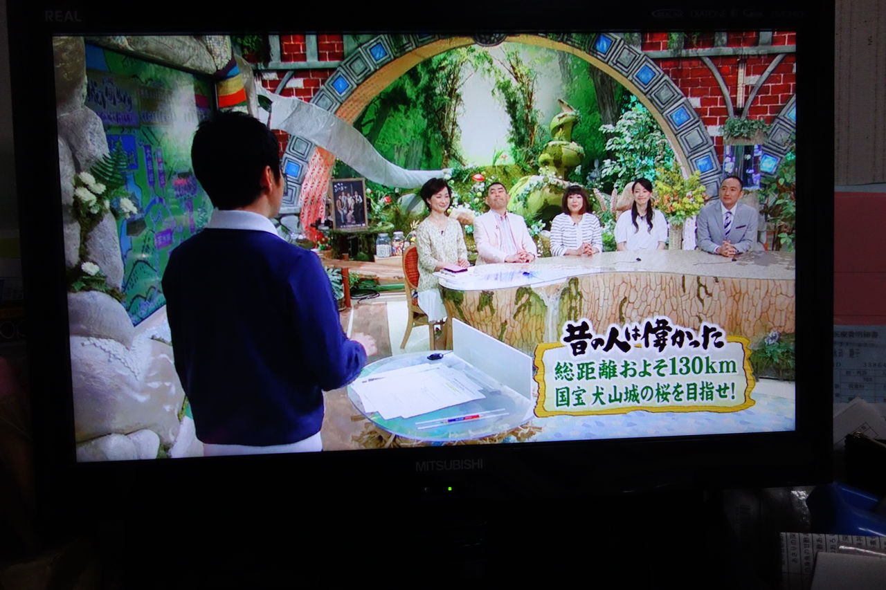 テレビ出演の記録 毎日放送 昔の人は偉かった 佐吉大仏 ヒラメ記 代表 永田章のブログ