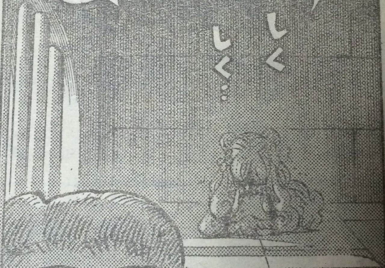 ネタバレ ワンピース 755話 マンシュリー姫の能力が勝敗のカギになるのか タケノコ漫画研究所