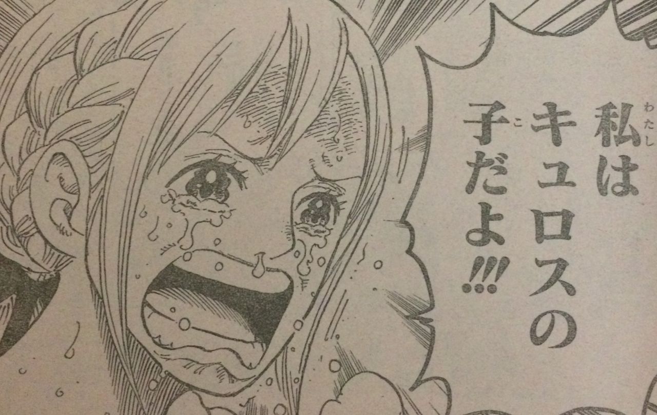 ネタバレ ワンピース 797話 レベッカ王女辞めるってよ タケノコ漫画研究所