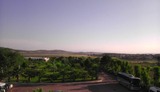 IMAG0313