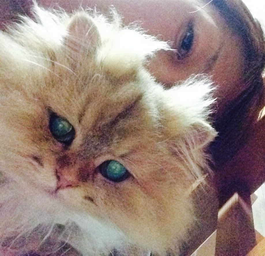 冬の到来 かのんがのん 犬猫兎のにぎやかな日々