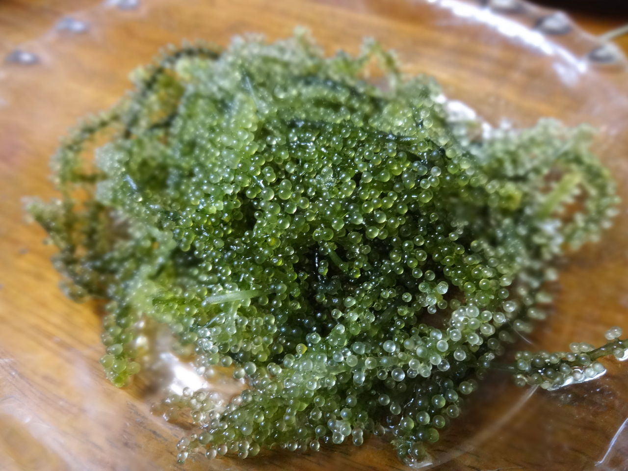 イラブチャー ミミジャー お魚なparty しおんぬの豪華な沖縄お土産 花音 詩音 の ぽこあぽこどろっぷ