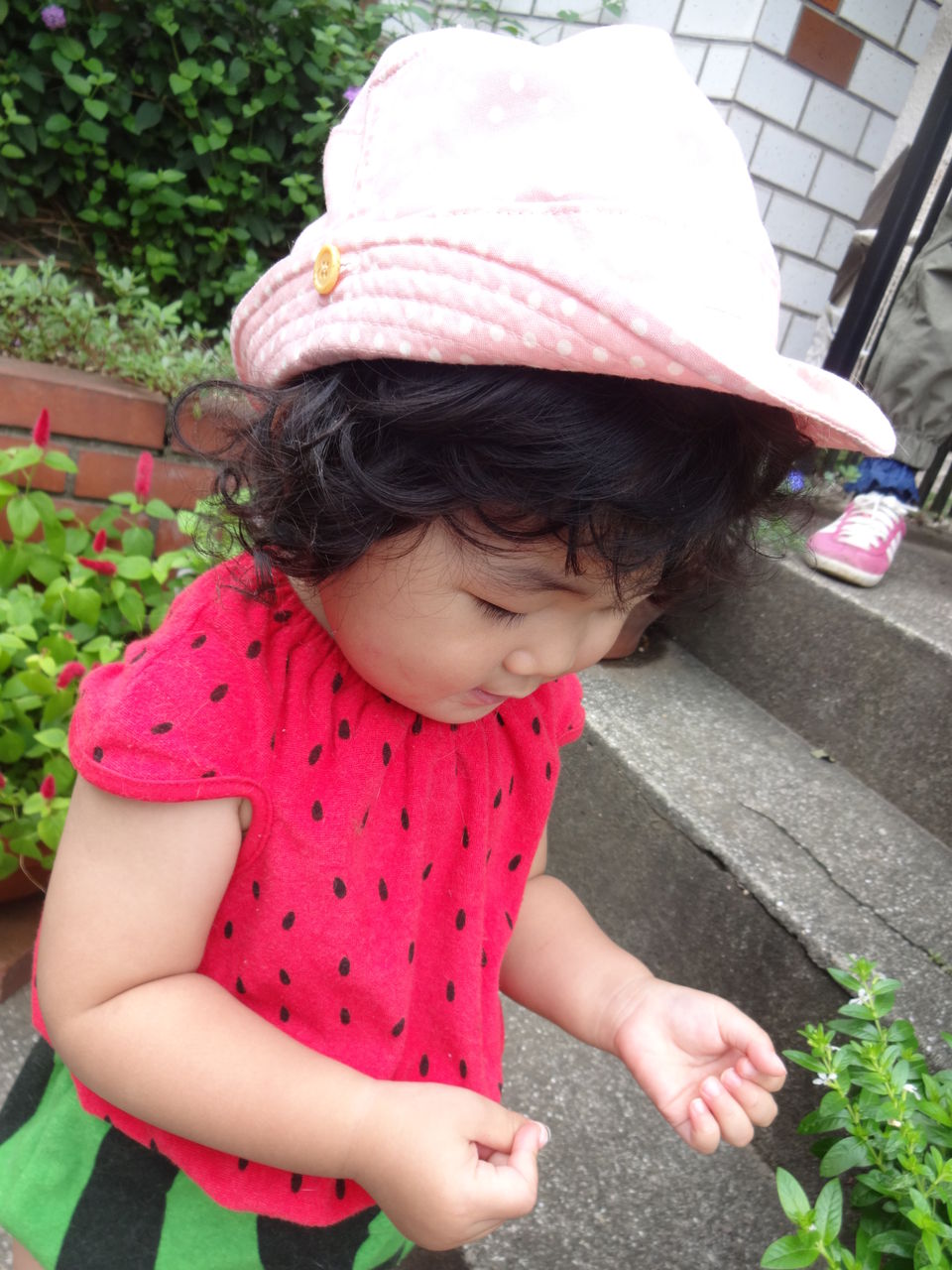 ストロベリーキャンドルとストロベリーフィールド ストロベリーフィールズ 花音 詩音 の ぽこあぽこどろっぷ