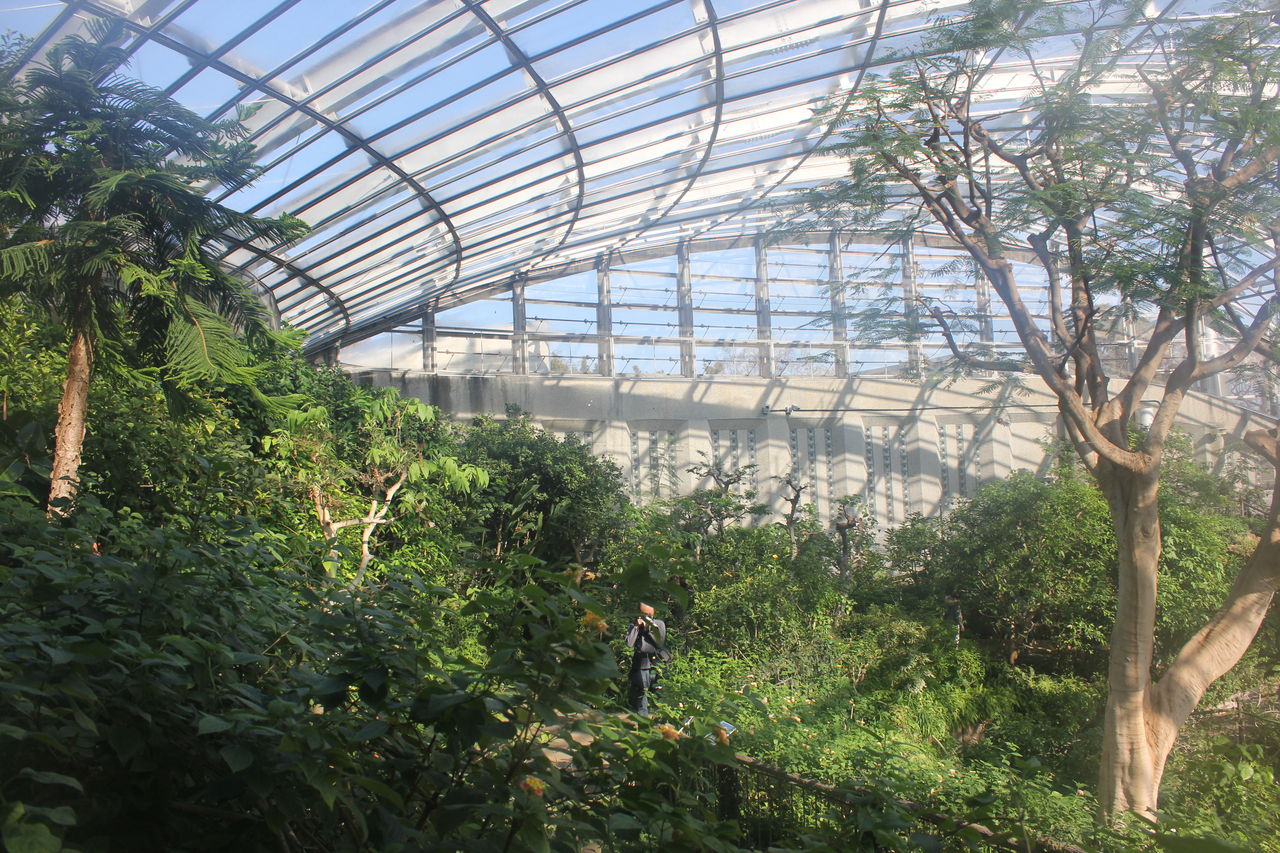 多摩動物公園の昆虫生態園の魅力をご紹介 19 02 17 花音 詩音 の ぽこあぽこどろっぷ