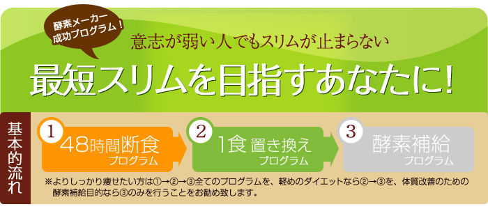 酵素でプチ断食ダイエット 気になる美容 ダイエットグッズ 酵素でプチ断食ダイエット 気になる美容 ダイエットグッズ