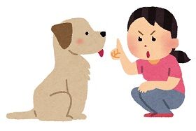 inu_shitsuke