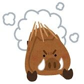 inoshishi_chototsu_moushin