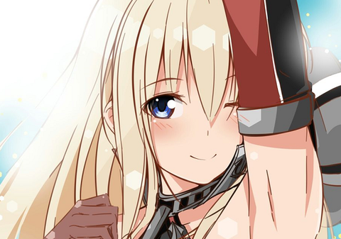 ビスマルクの腋