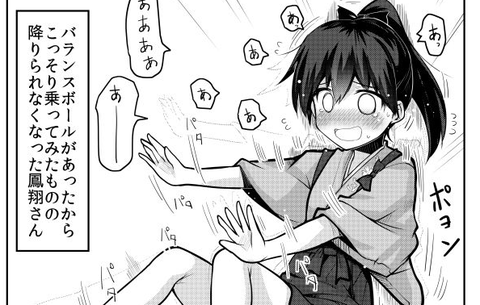 バランスボール鳳翔