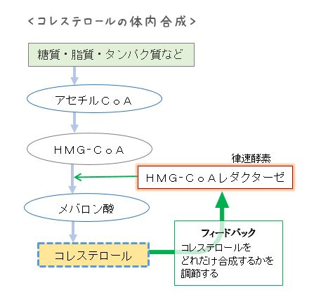 コレステロール基準値